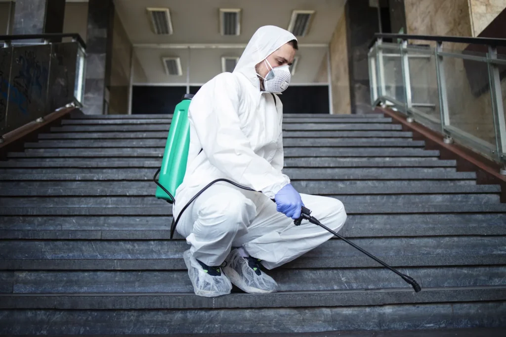 Professional applying antimicrobial treatment during mold abatement process to prevent mold regrowth