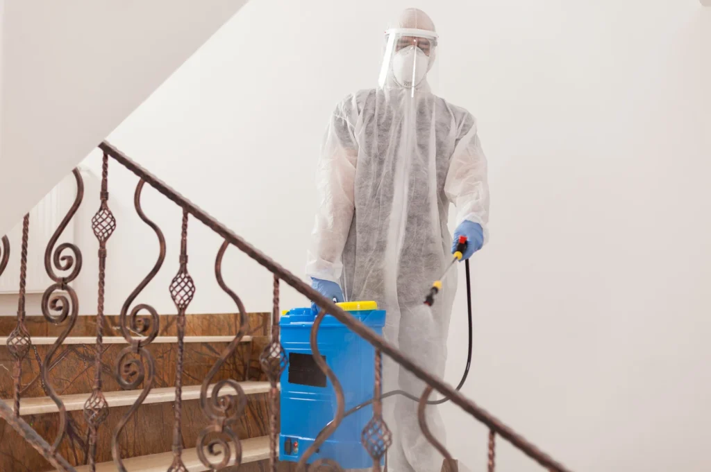 Technician wearing PPE sanitizing home surfaces during mold removal process