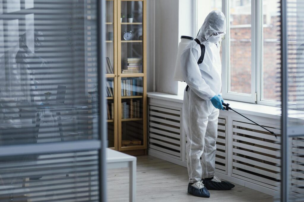 How Much Does Mold Remediation Cost In New Jersey? (2026 Estimates)