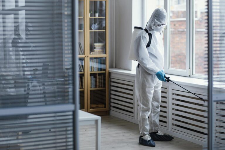 How Much Does Mold Remediation Cost In New Jersey? (2026 Estimates)