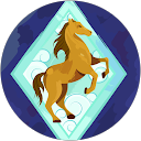 CCC profile picture